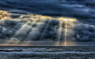 Jesus, Help! | Standing Firm Through Life’s Storms